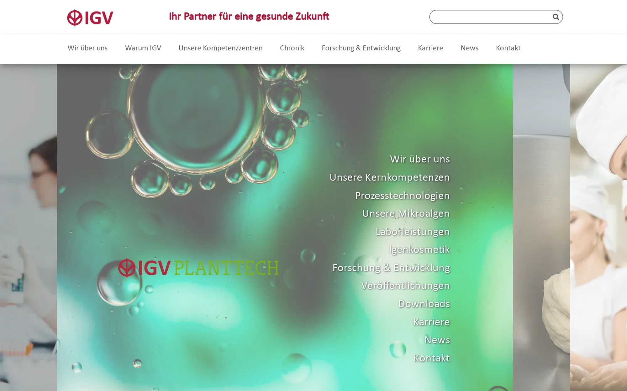 Startseite von IGV GmbH